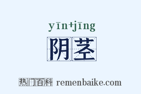 阴茎是什么意思的图片